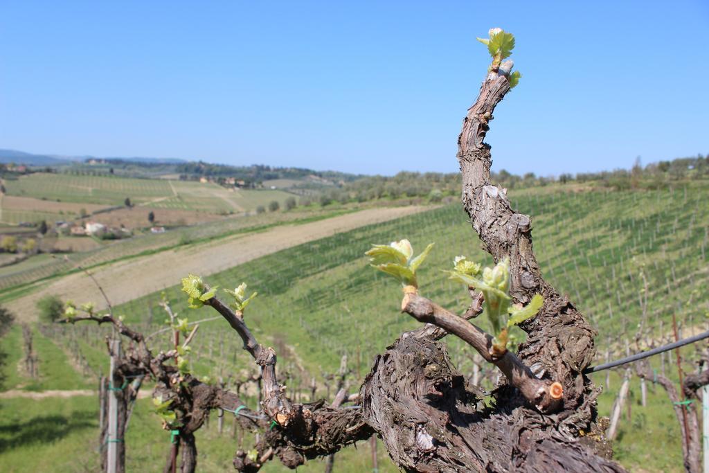 Bio Agriturismo Podere Pretoia San Gimignano Extérieur photo