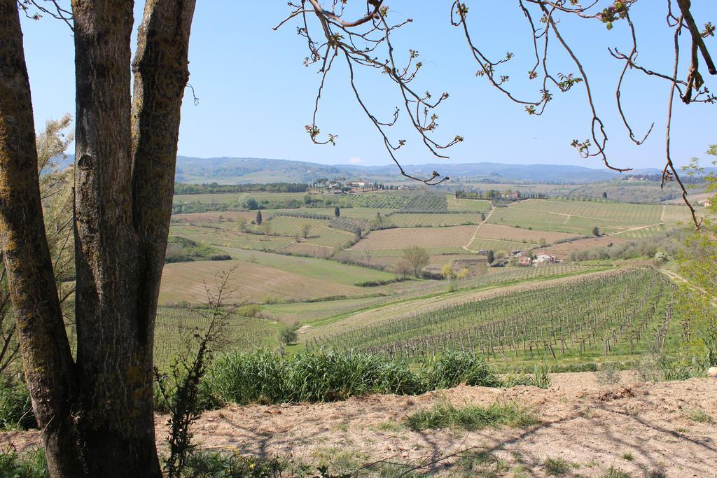 Bio Agriturismo Podere Pretoia San Gimignano Extérieur photo